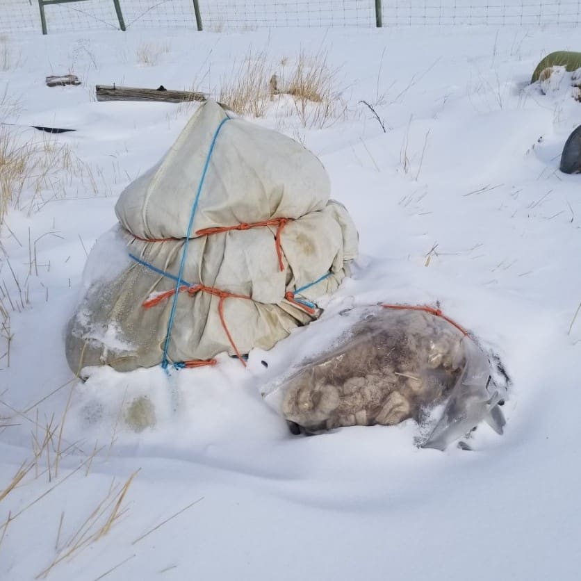 winterized hydrant