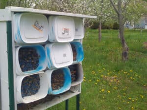 Bamboo nest units in orchard