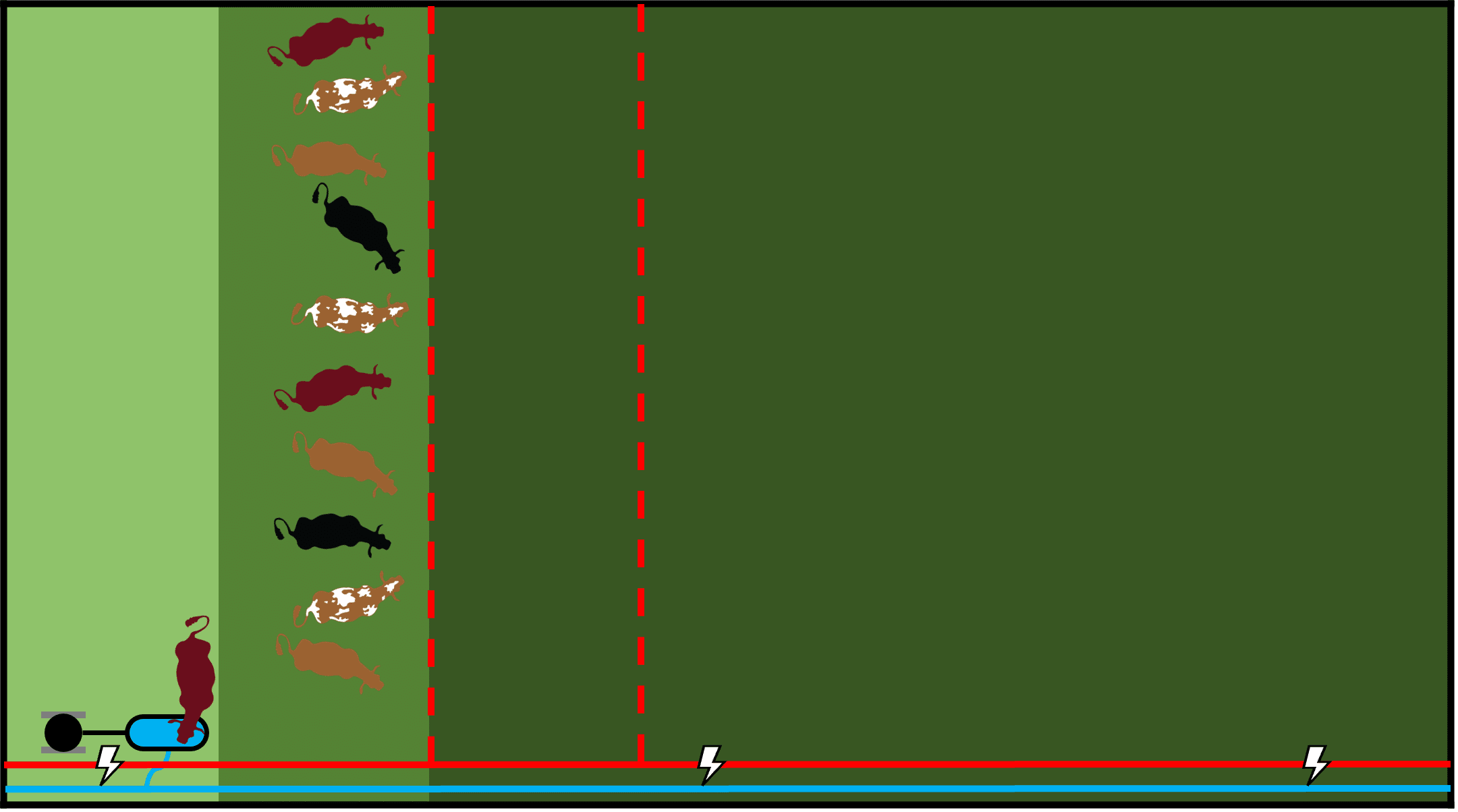Figure 1: Livestock are prevented from grazing all recovered forage
