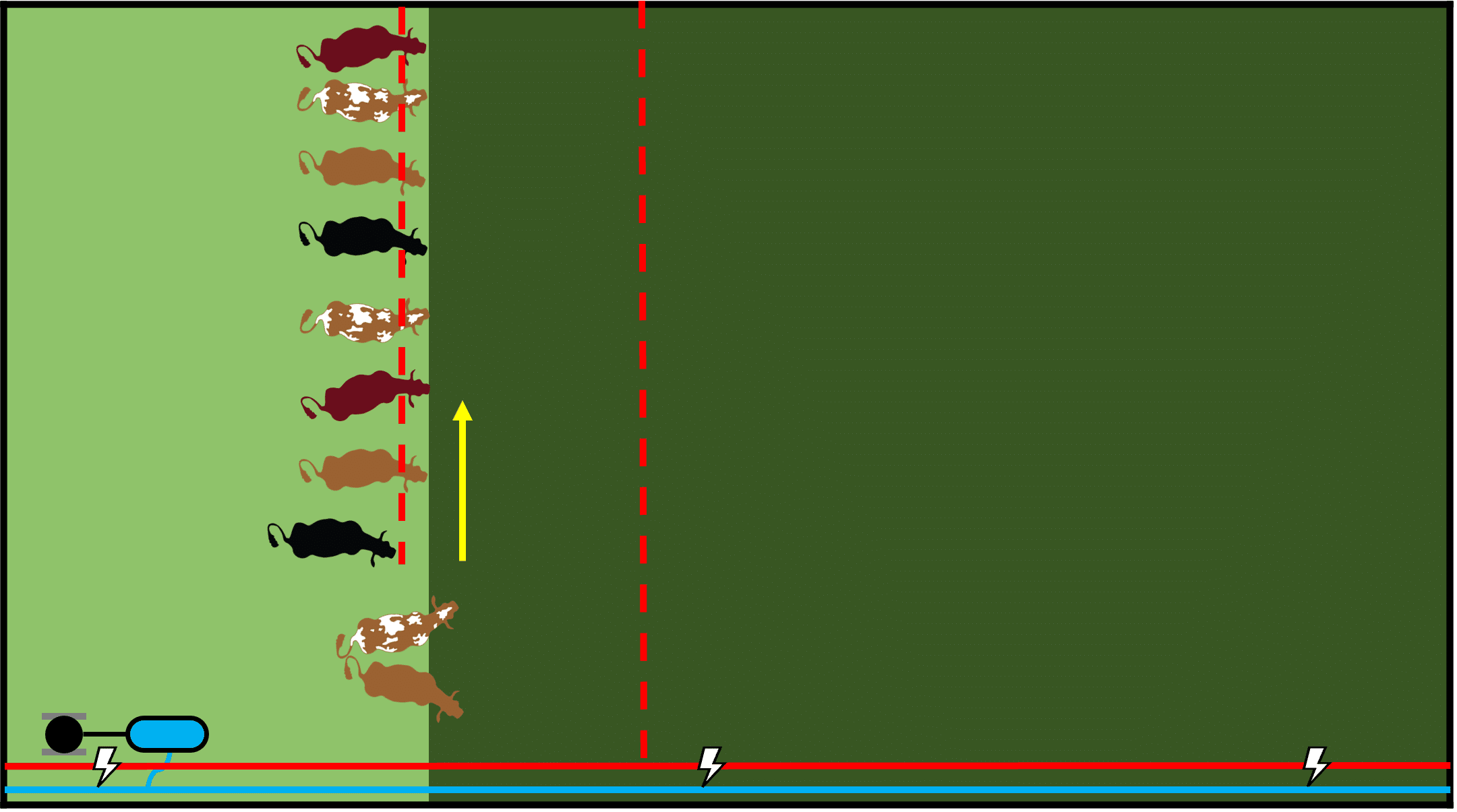 Livestock are admitted to the next paddock by rolling up the polywire and collecting step-in posts