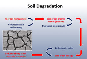 Figure 4 degradation