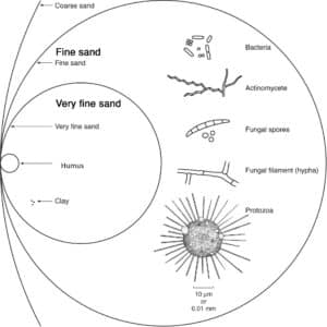 Figure2 particle size