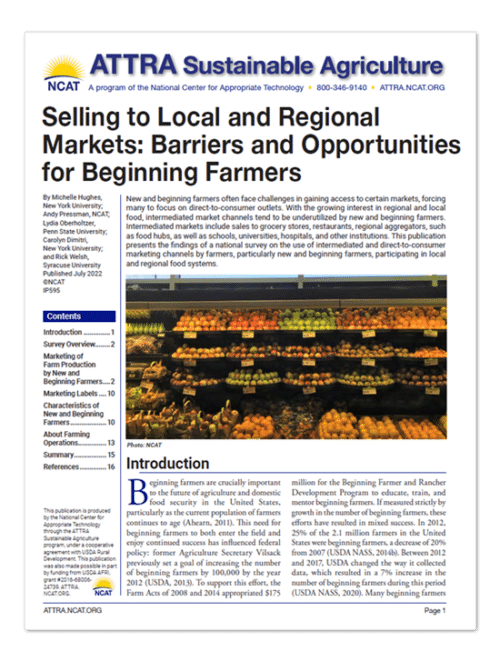 Venta en los mercados locales y regionales: Obstáculos y oportunidades para los agricultores noveles (portada)