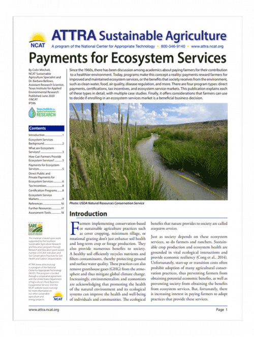 Payments for Ecosystem Services cover
