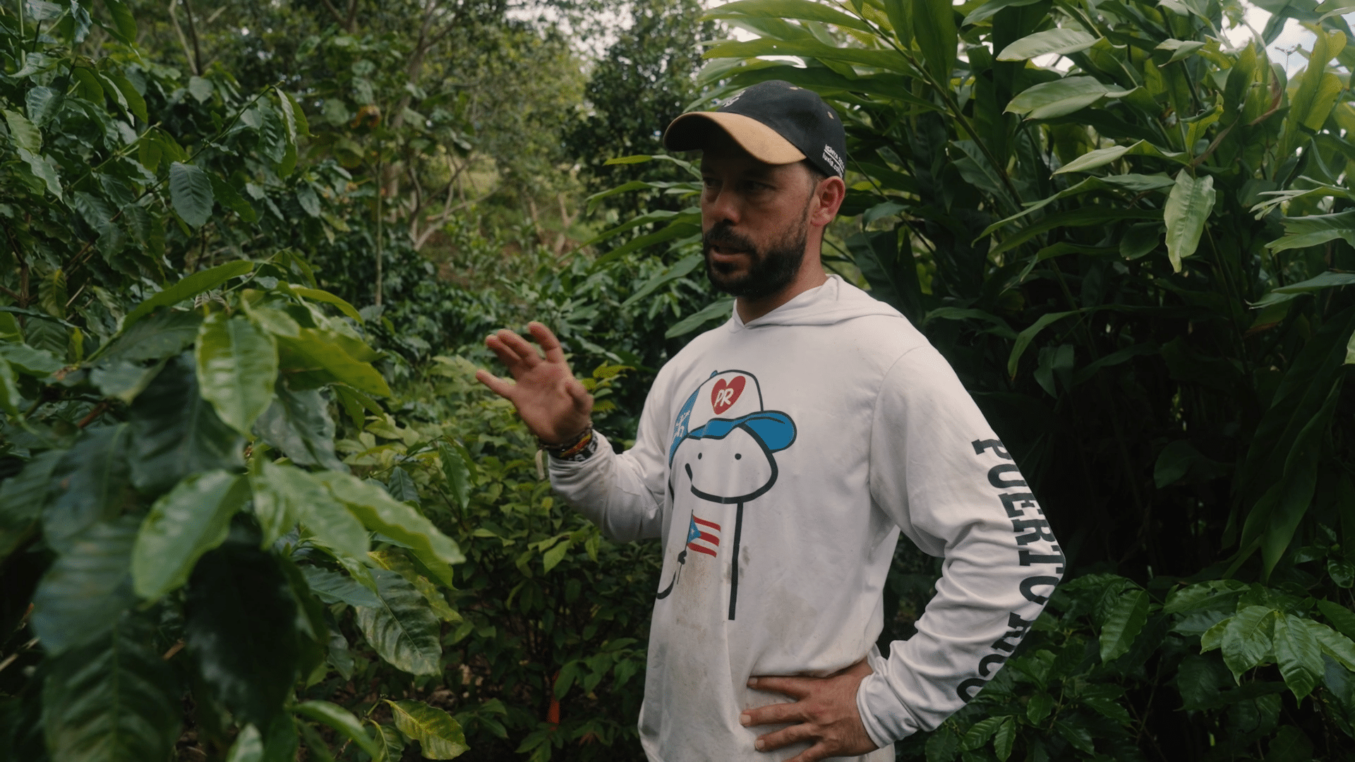 Design an Agroforestry System