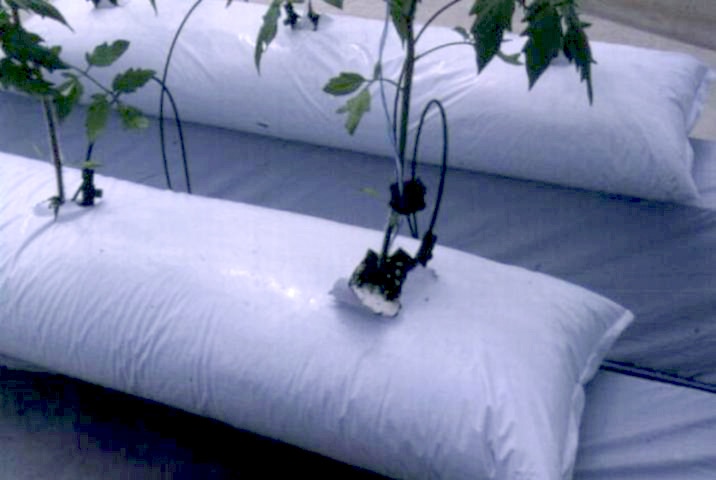 Lay flat bag.