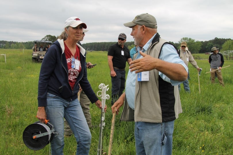 people in a field