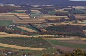 Hedgerow and woodlots close to fields