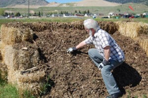 Checking compost