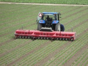 The Skeketee IC Weeder