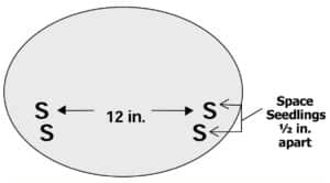 Figure 5. Hidatsa Squash Mound