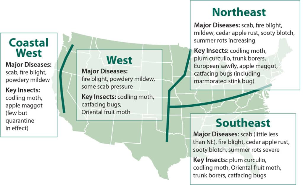 Common apple pests by region