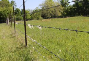 barbed wire fence