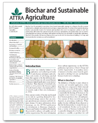 Biochar and Sustainable Agriculture cover