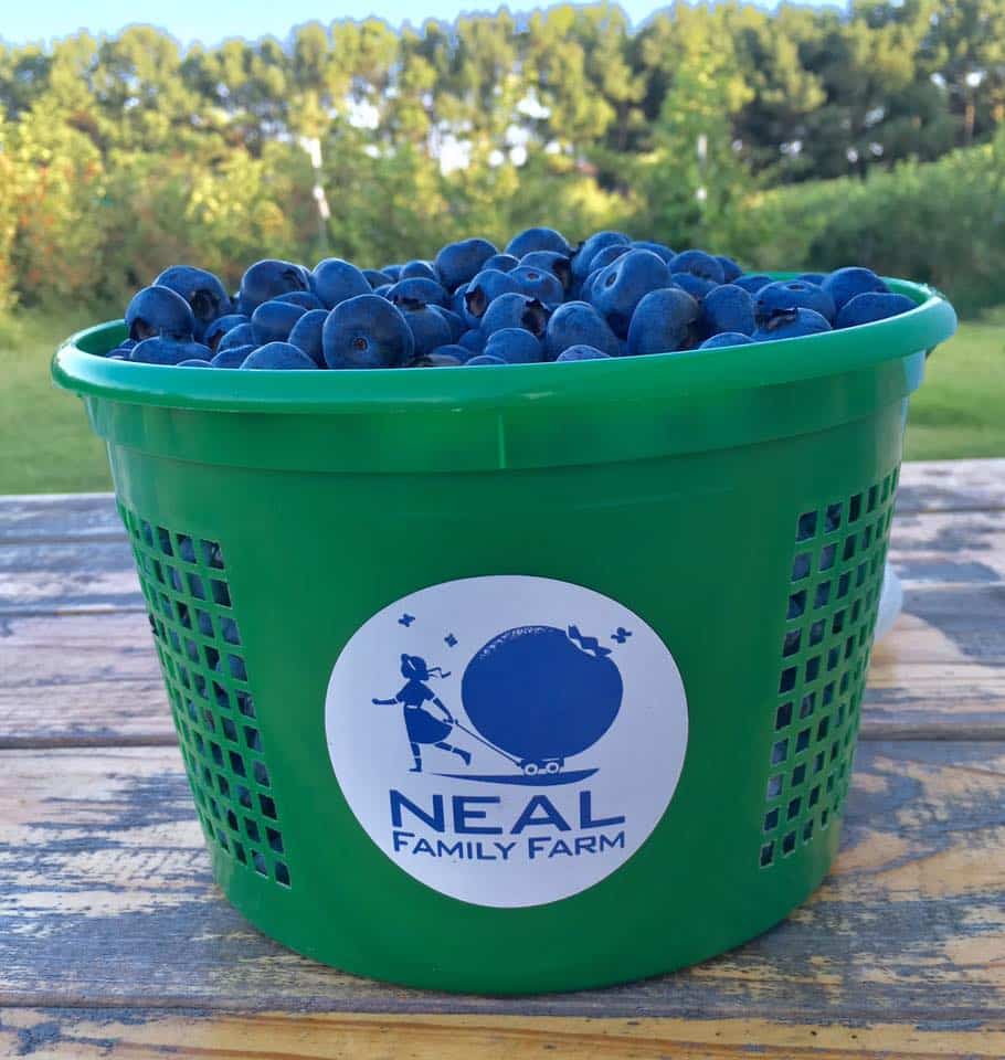 A clever and memorable logo on all its merchandiseenhances a farm’s sales in the community.