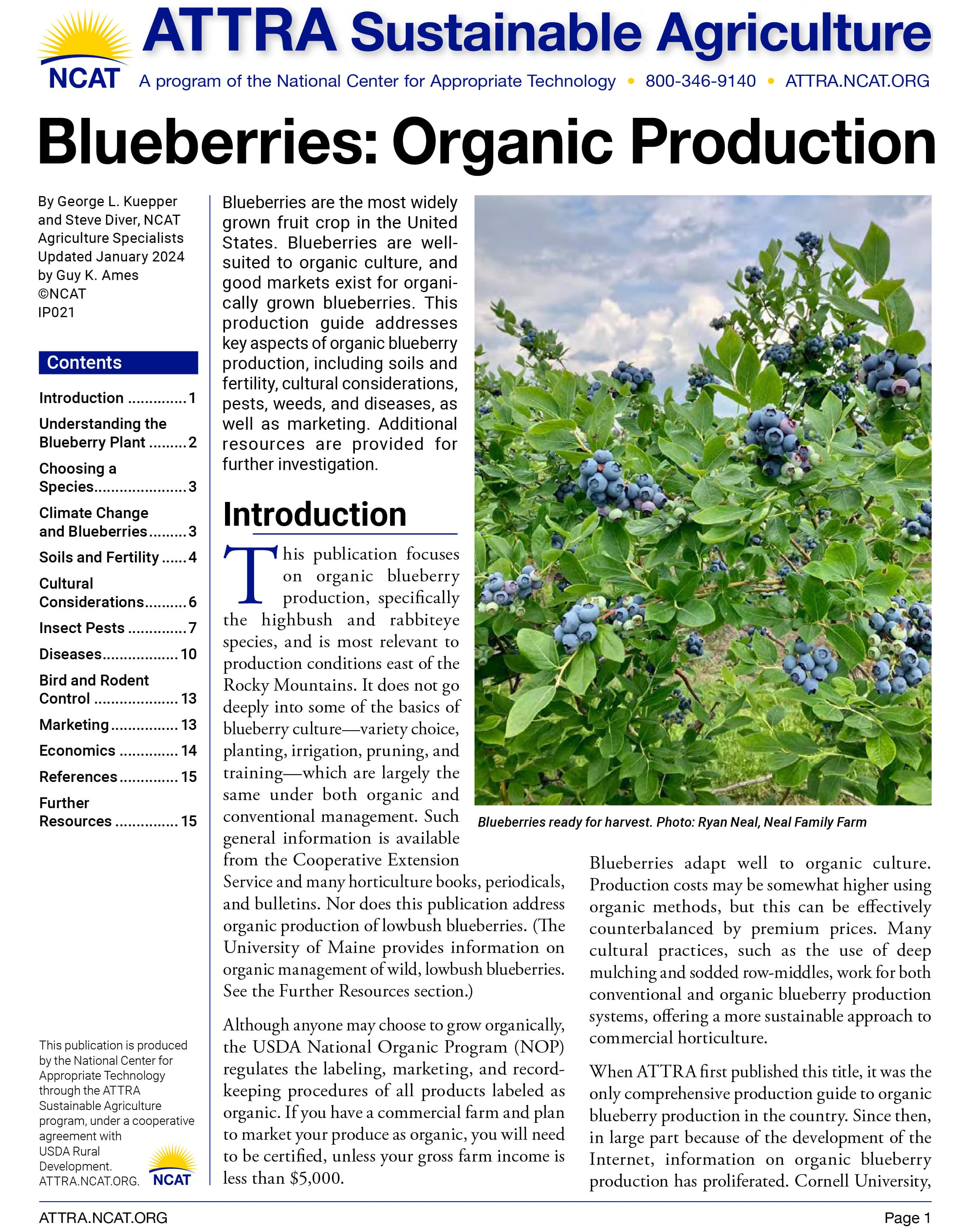 Blueberries: Organic Production cover