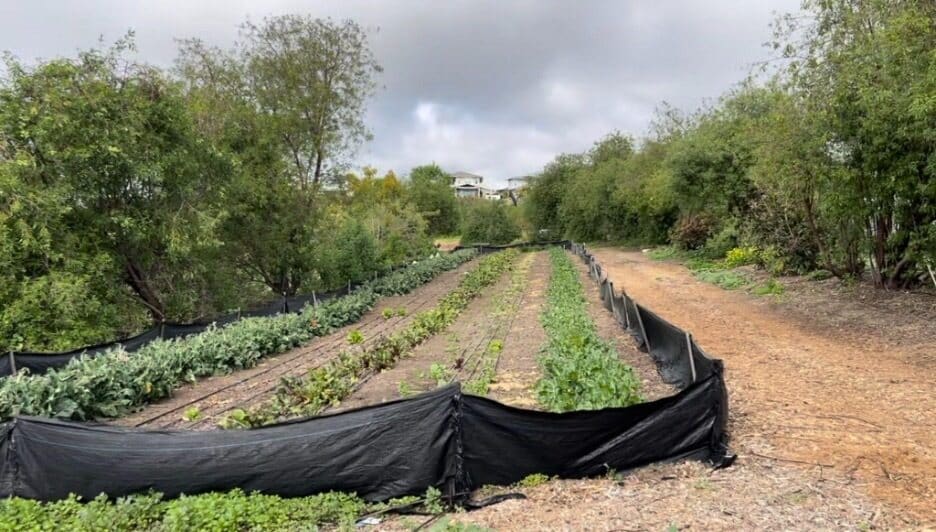 Coastal Roots Farm in San Diego, California