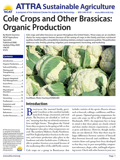 Cole Crops and Other Brassicas: Organic Production cover