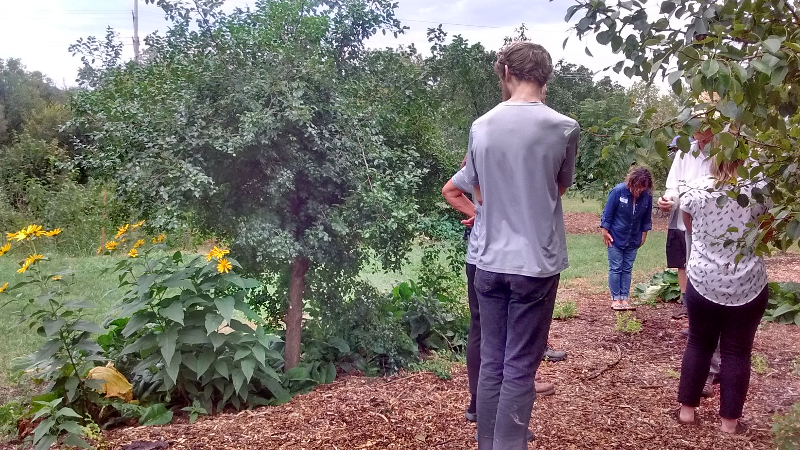 Visitors at Lawrence Community Orchard