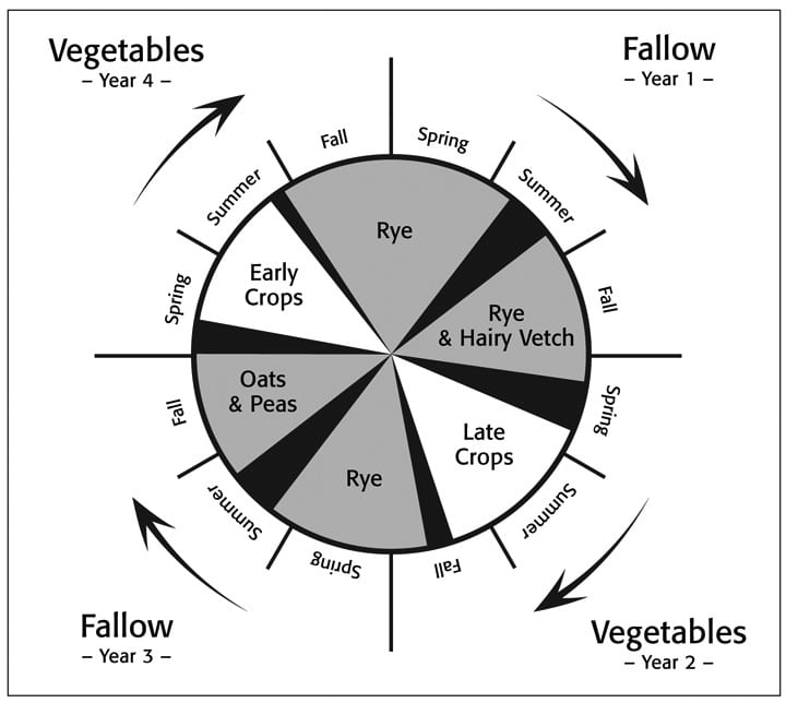 The Cover Crop Clock