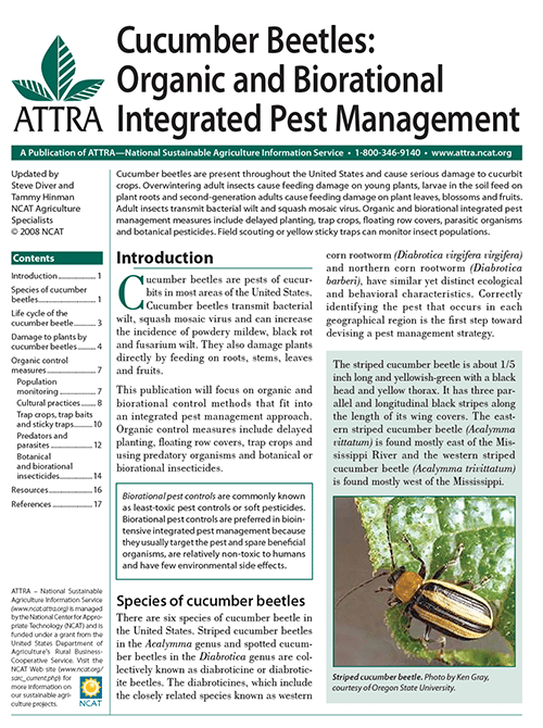 Cucumber Beetles: Organic and Biorational Integrated Pest Management cover