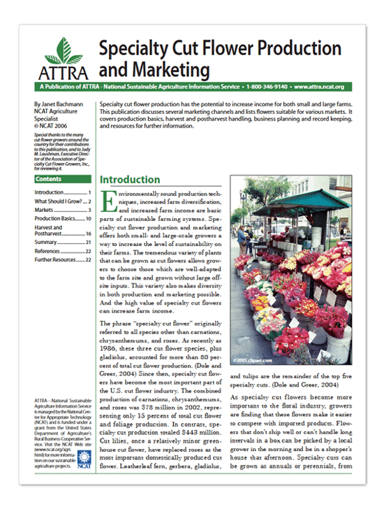 Specialty Cut Flower Production and Marketing cover