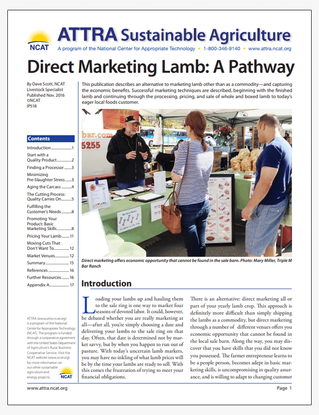 Direct Marketing Lamb: A Pathway cover