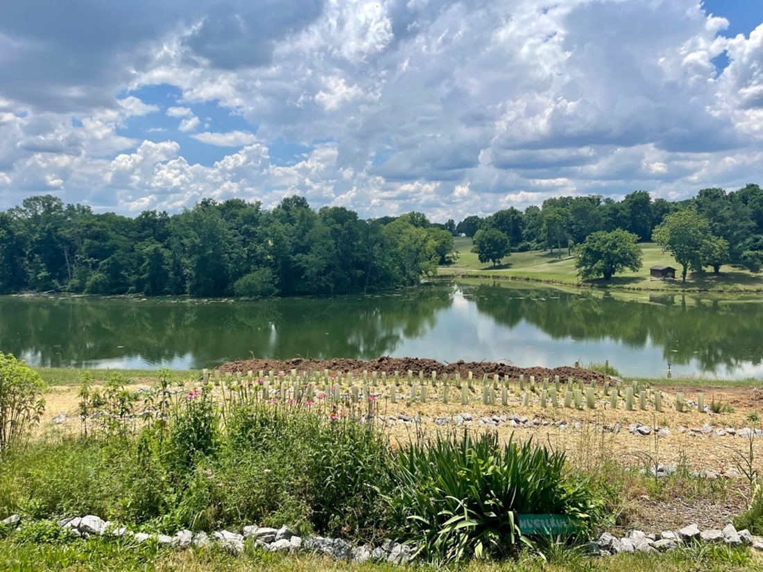 The educational garden overlooking Two Rivers Lake is planted on top of trenches filled with logs and branches that help slow down and store water from runoff. This practice, commonly referred to as hügelkultur, keeps soil moist year-round and allows the gardens to survive without relying on irrigation