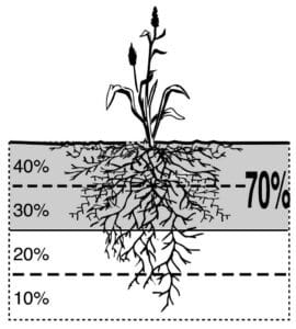 effective root zone