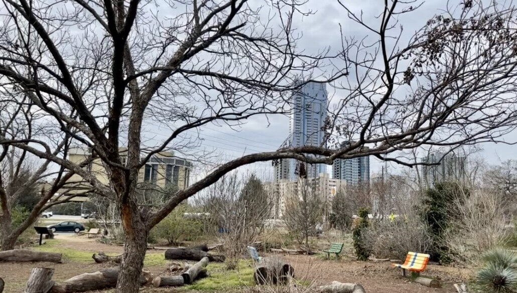 The Festival Beach Food Forest in Austin, Texas