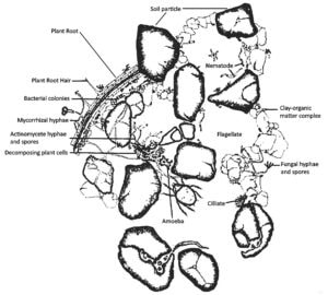 figure 3 soil aggregate