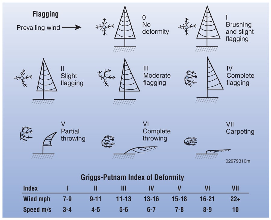 Flagging diagrams