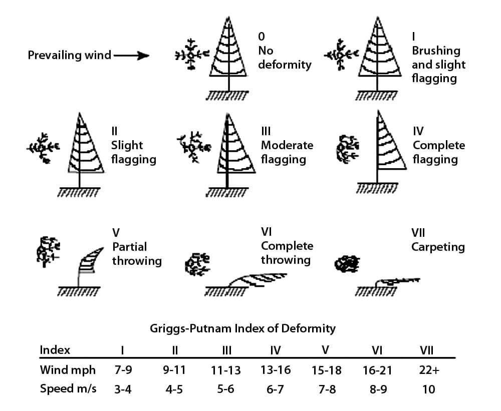 wind speed diagram