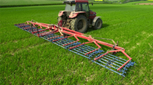 Harrows and non-selective tines weeding wild oats in tame oats