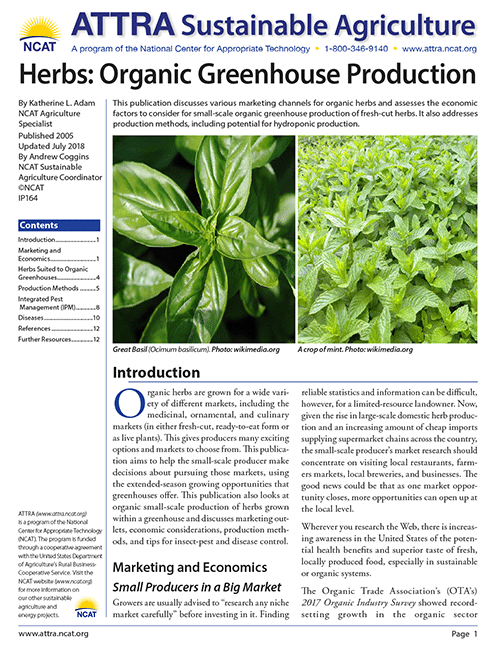 Cubierta para el cultivo de hierbas en invernadero ecológico