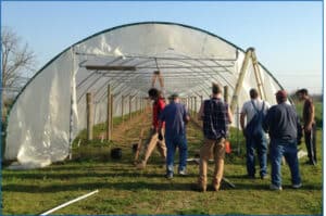 Putting the finishing touches on a high tunnel intended for table grapes at the University of Arkansas research farm.