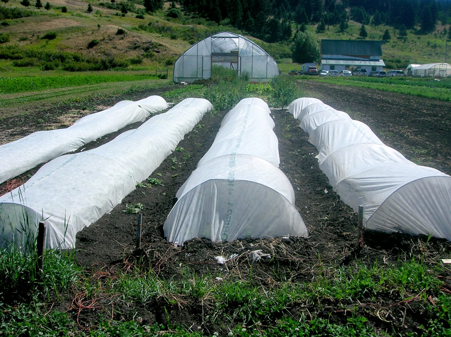 high and low tunnels, Gallatin Valley Botanicals, Bozeman, Montana