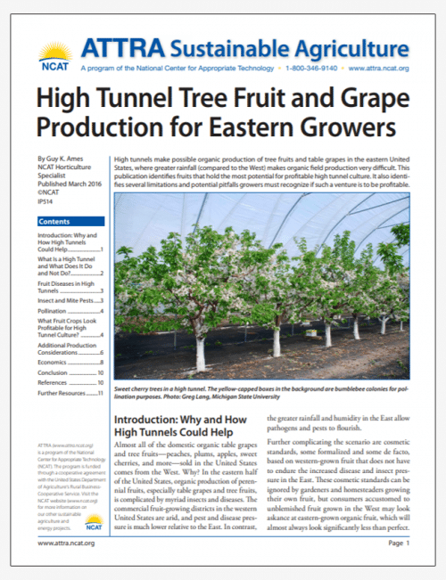 High Tunnel Tree Fruit and Grape Production for Eastern Growers cover