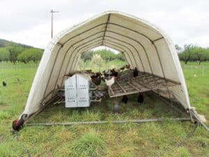 invernadero de arcos para aves de corral