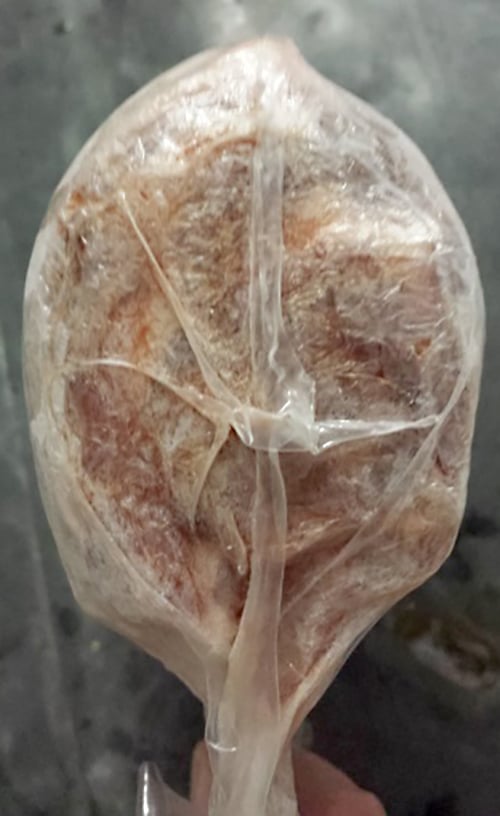 Lamb rib eye