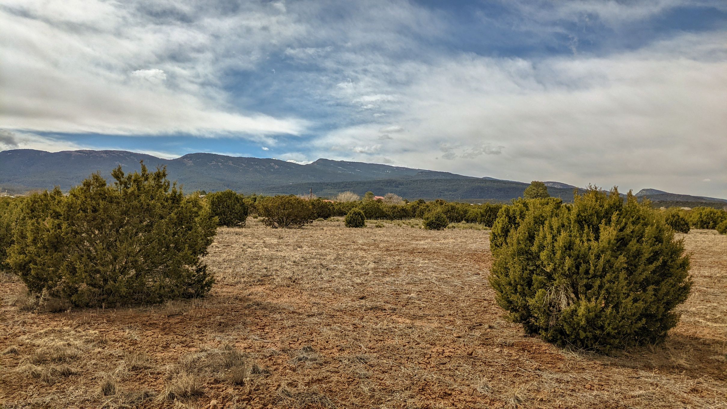 Scrub bushes in New Mexico field with mountains in the background