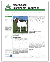 Portada de «Cabras de carne: producción sostenible»