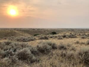 native rangeland