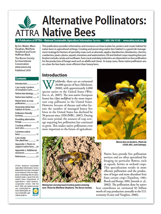 Alternative Pollinators: Native Bees cover