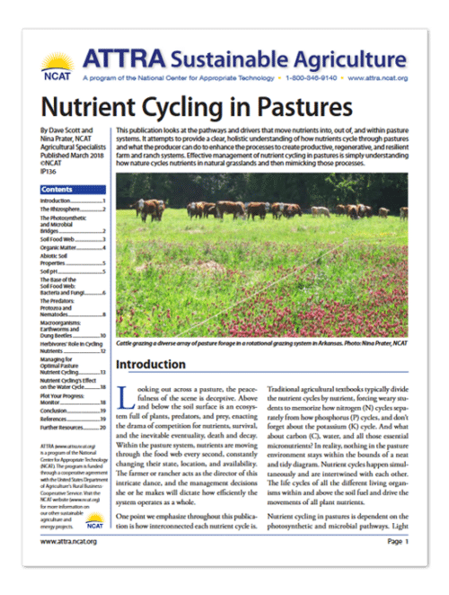 Nutrient Cycling in Pastures cover
