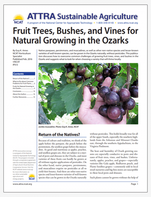 Fruit Trees, Bushes, and Vines for Natural Growing in the Ozarks cover