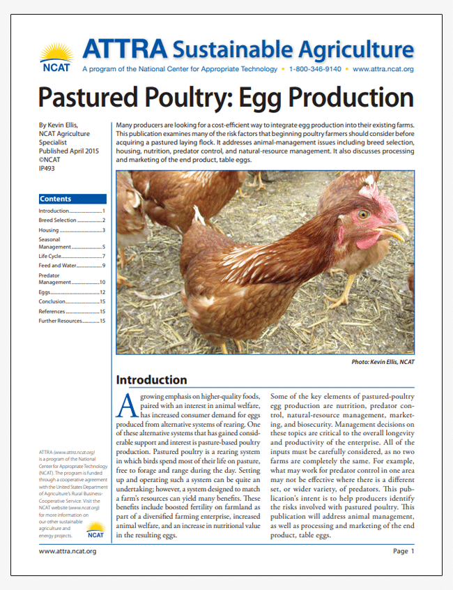 Aves de corral: Portada de «Producción de huevos»