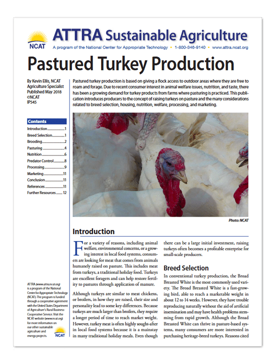 Pastured Turkey Production cover