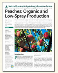 Peaches: Organic and Low-Spray Production cover