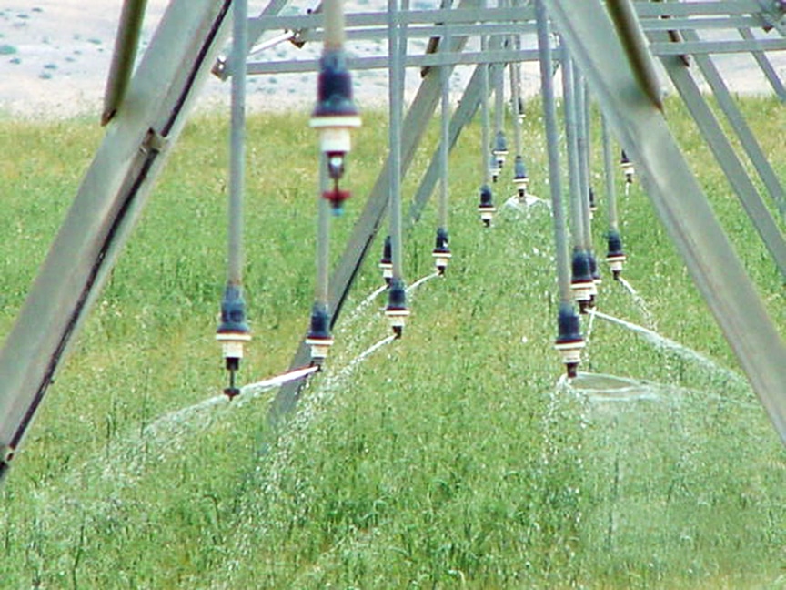 sprinkler heads